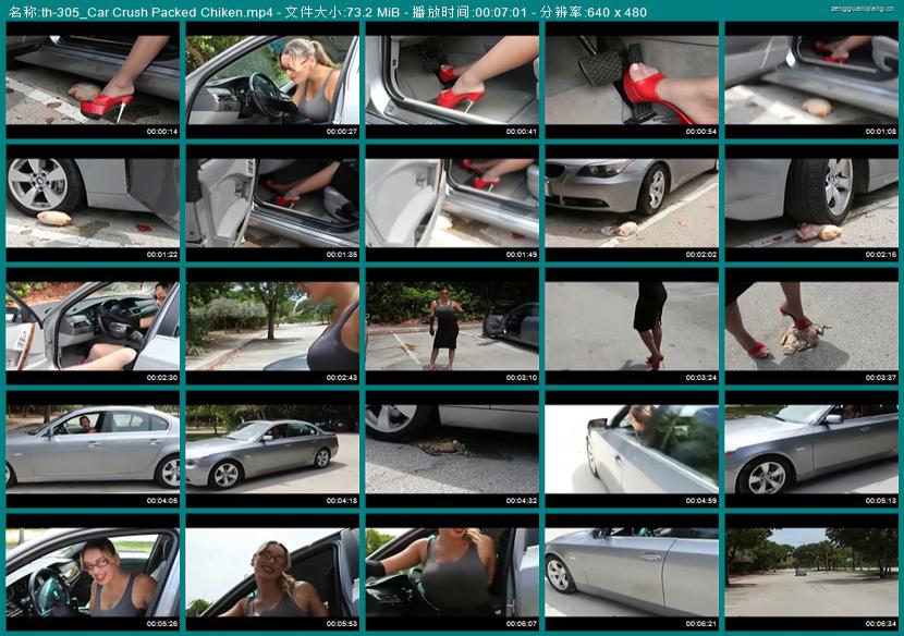 th-305_Car Crush Packed Chiken
